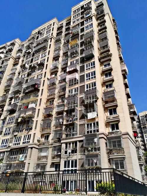 永兴福里最新爆料,揭秘神秘项目背后的惊人真相